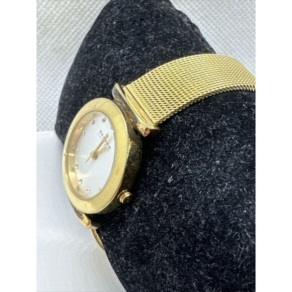 Skagen 107SGGD Women\'s Gold Tone Stainless Steel Analog Dial Quartz Watch AEA209 main image 11